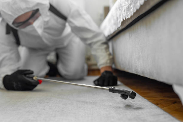 Professional Cockroach Control technician working in Camp Point, IL