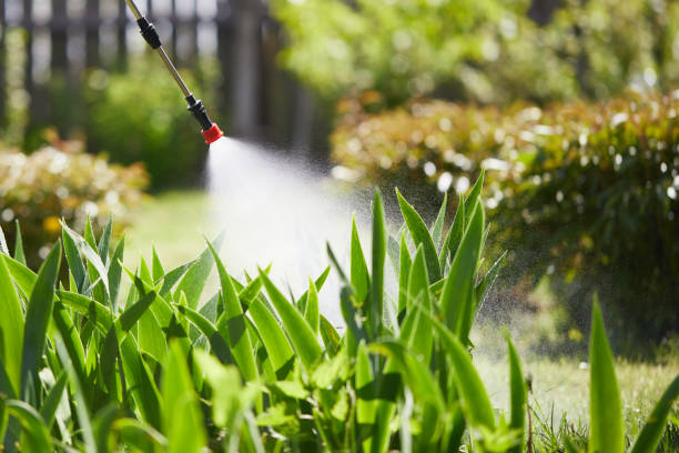 24/7 Emergency Cockroach Control experts in Camp Point, IL