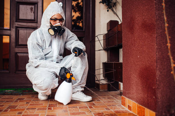 Reliable Cockroach Control contractor in Camp Point, IL by Nex Pest Control